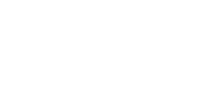 Logo Wiver